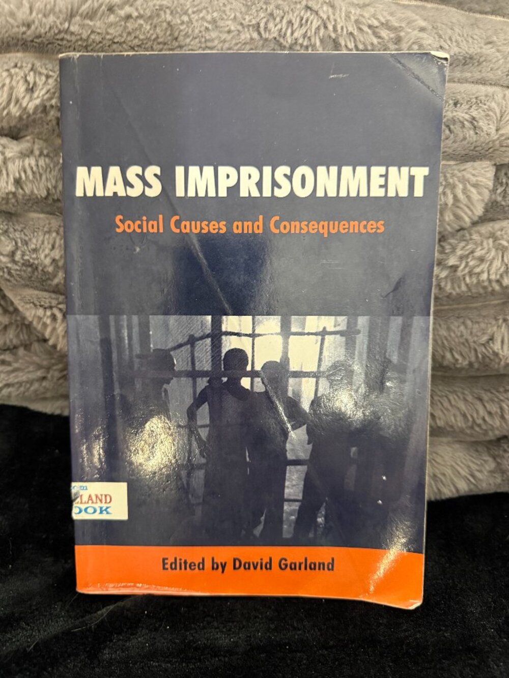 Mass Imprisonment : Social Causes and Consequences by David W. Garland